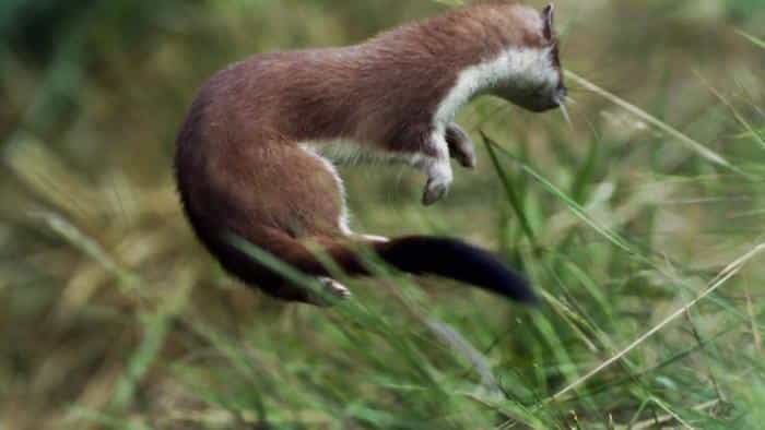 نقد و بررسی سریال زندگی محصول سال 2007 | چی‌بینو