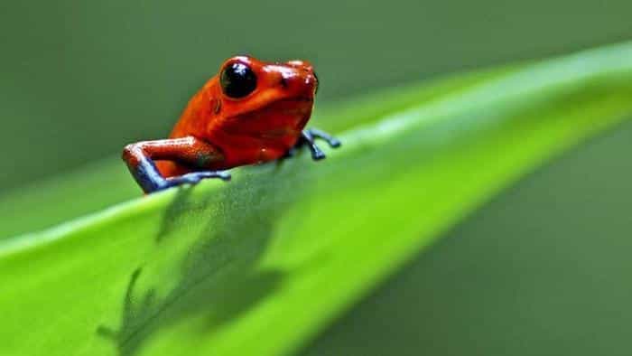 نقد و بررسی سریال زندگی محصول سال 2007 | چی‌بینو