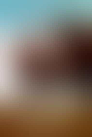 برخوردار از شانس
