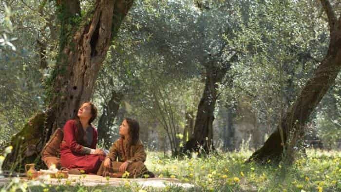 نقد و بررسی فیلم مسیح جوان محصول سال 2016 | چی‌بینو