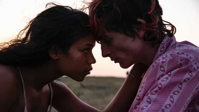 تماشای فیلم استخوانها و همه چیز محصول سال 2022 | چیبینو