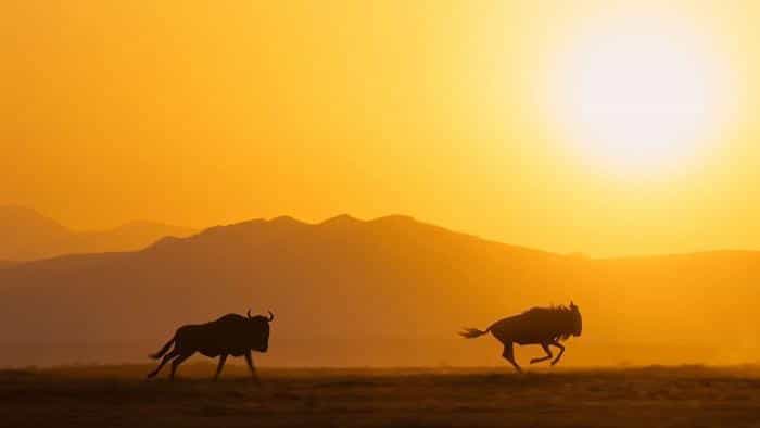 نقد و بررسی سریال سیاره‌ای بی‌نقص محصول سال 2021 | چی‌بینو