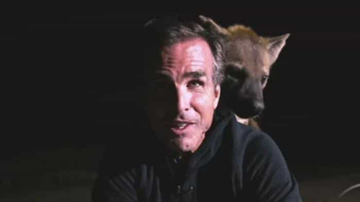 نقد و بررسی سریال سفر بی‌قانون محصول سال 2020 | چی‌بینو