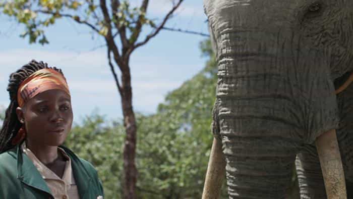 تماشای سریال پایانگونه محصول سال 2020 | چی‌بینو