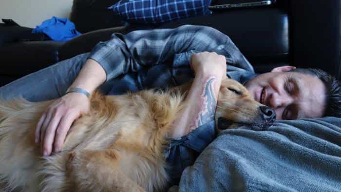 نقد و بررسی فیلم در خدمت شما بودن محصول سال 2019 | چی‌بینو