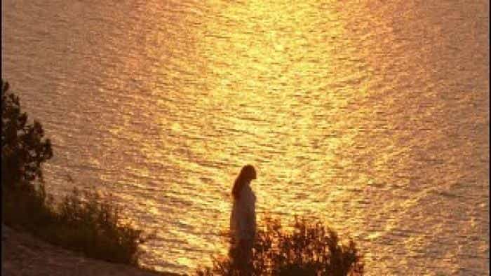 نقد و بررسی فیلم غرب میشیگان محصول سال 2021 | چی‌بینو