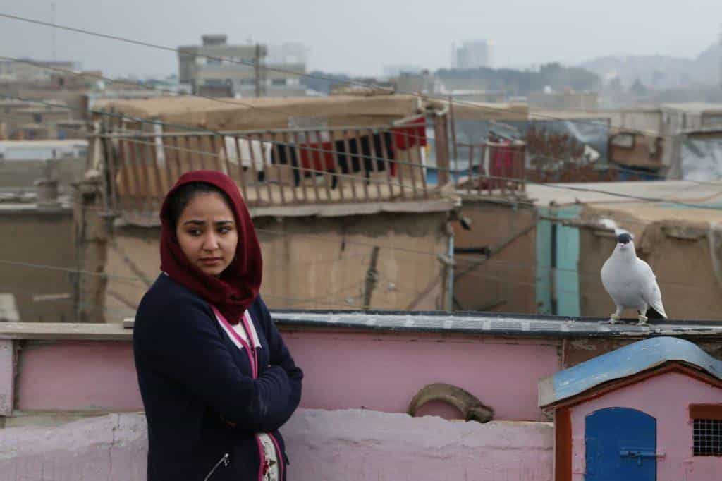 نقد و بررسی فیلم حوا، مریم، عایشه محصول سال 2019 | چی‌بینو