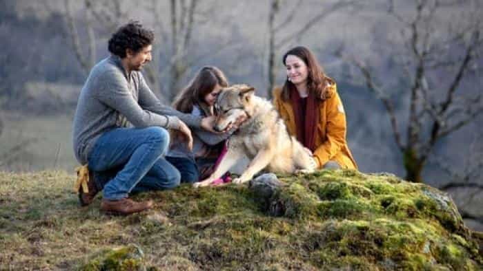 نقد و بررسی فیلم ویکی و راز او محصول سال 2021 | چی‌بینو