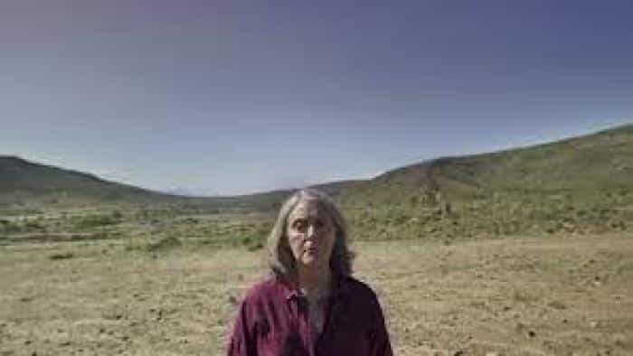 نقد و بررسی فیلم سروصدا محصول سال 2022 | چی‌بینو