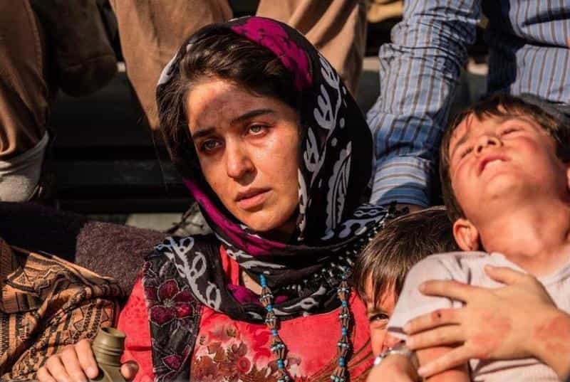تماشای فیلم درخت گردو محصول سال 2020 | چی‌بینو