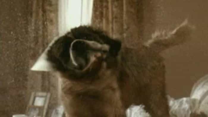 نقد و بررسی فیلم شکست بزرگ بتهوون محصول سال 2008 | چی‌بینو