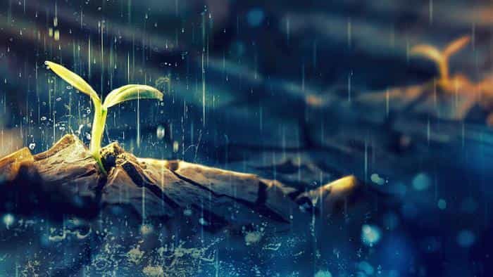 نقد و بررسی فیلم «جهان شجاع آبی» محصول سال 2019 | چی‌بینو