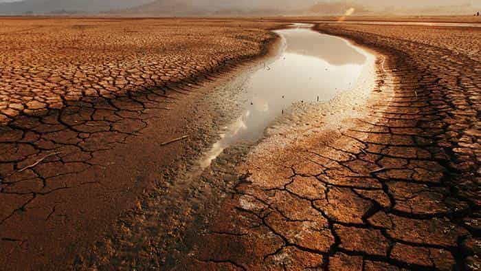 نقد و بررسی فیلم «جهان شجاع آبی» محصول سال 2019 | چی‌بینو