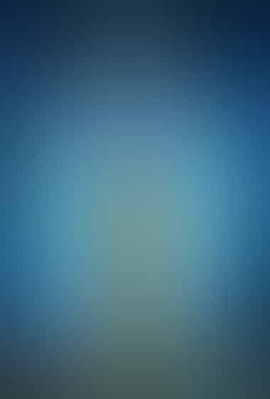 تینکربل و راز بال‌ها