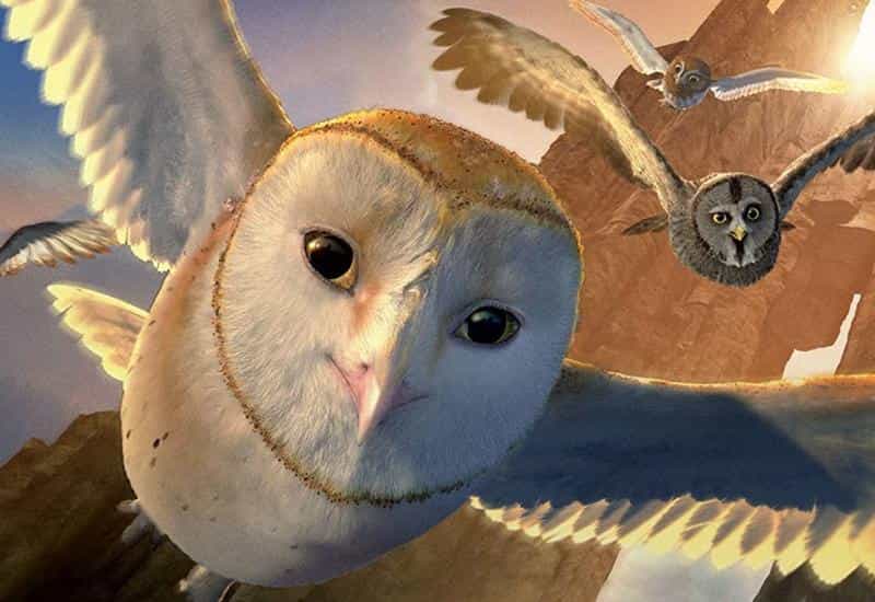 تماشای انیمیشن افسانه جغدها محصول سال 2010 | چی‌بینو