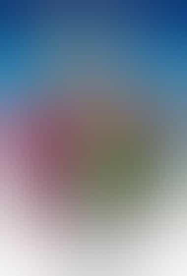 کریسمس در کارولینای شمالی