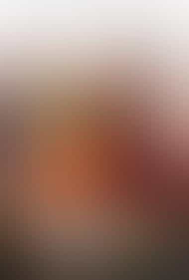 آیکوت انیسته ۲