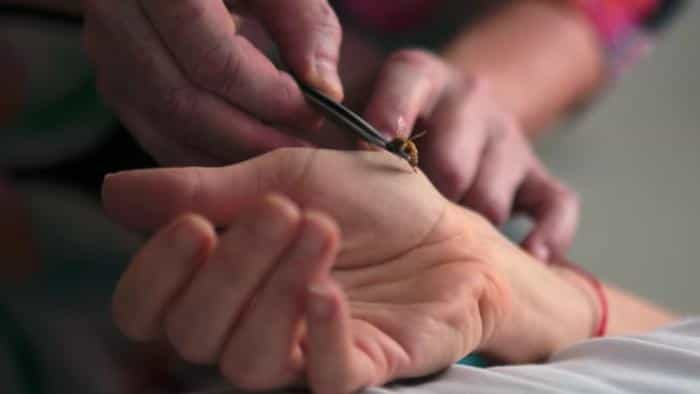 نقد و بررسی سریال سلامت محصول سال 2020 | چی‌بینو