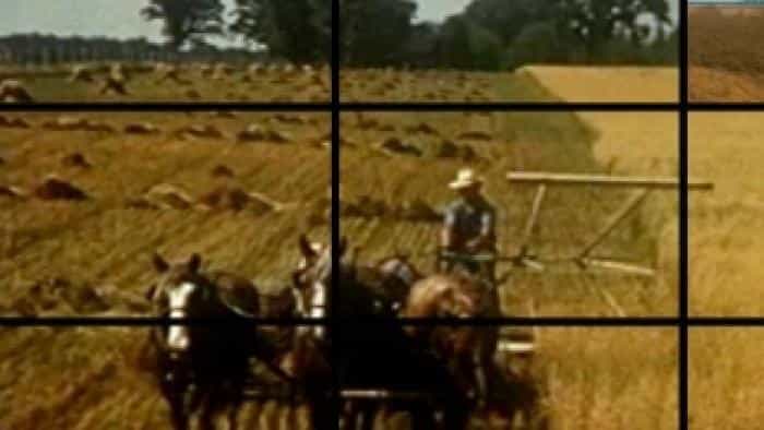 نقد و بررسی فیلم غذای ما، شرکت محصول سال 2008 | چی‌بینو