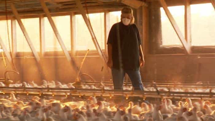 نقد و بررسی فیلم غذای ما، شرکت محصول سال 2008 | چی‌بینو