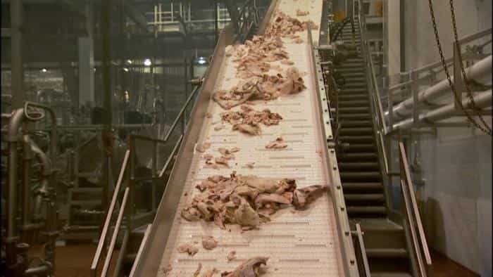 نقد و بررسی فیلم غذای ما، شرکت محصول سال 2008 | چی‌بینو