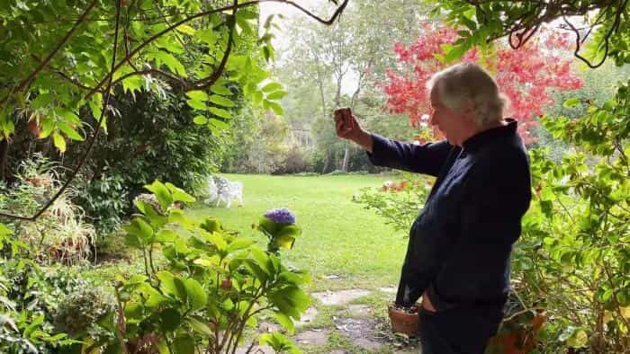 تماشای فیلم مربع‌های خانوادگی محصول سال 2022 | چی‌بینو