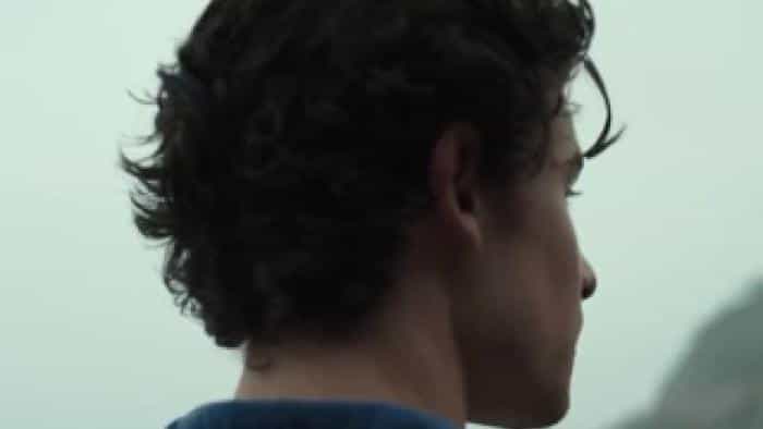 تماشای فیلم شان مندز محصول سال 2020 | چی‌بینو