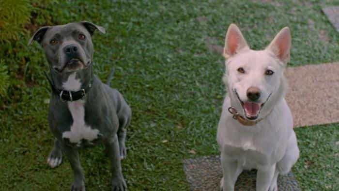 نقد و بررسی فیلم ژوئن و کپی محصول سال 2021 | چی‌بینو