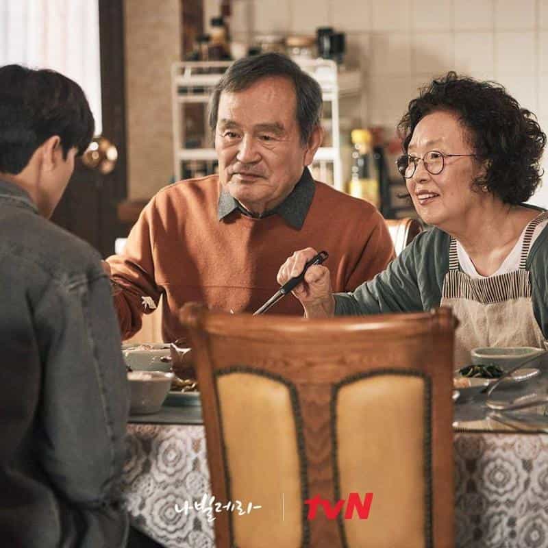 نقد و بررسی سریال همچو پروانه محصول سال 2021 | چی‌بینو