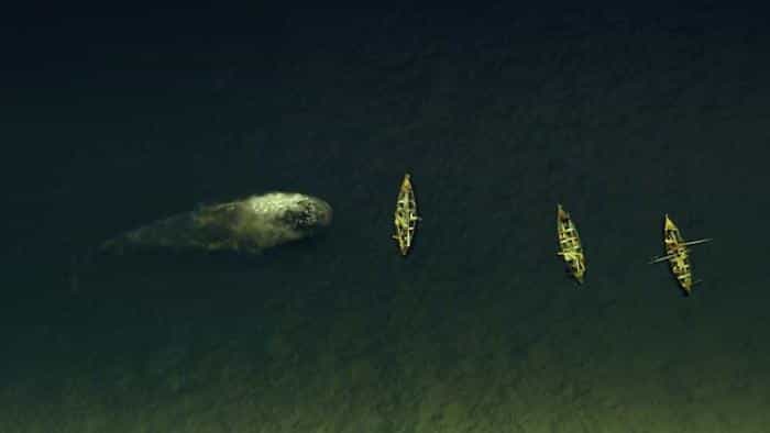 نقد و بررسی فیلم در قلب دریا محصول سال 2015 | چی‌بینو