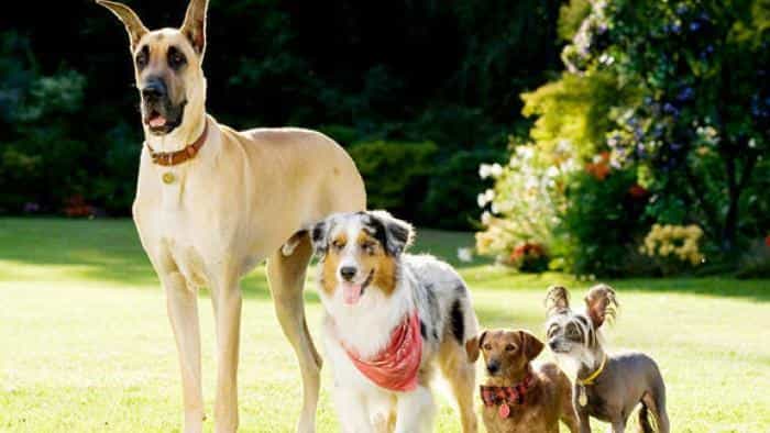 نقد و بررسی فیلم مارمادوک محصول سال 2010 | چی‌بینو