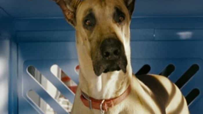 نقد و بررسی فیلم مارمادوک محصول سال 2010 | چی‌بینو