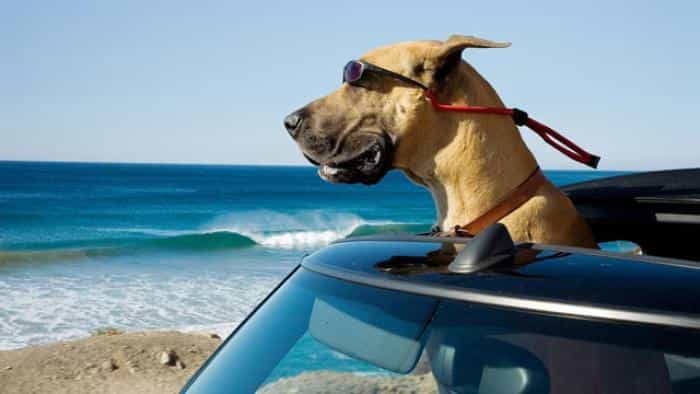 نقد و بررسی فیلم مارمادوک محصول سال 2010 | چی‌بینو