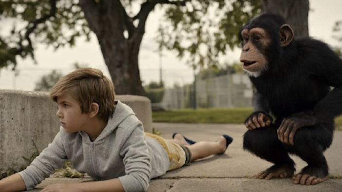 تماشای سریال جین محصول سال 2023 | چی‌بینو