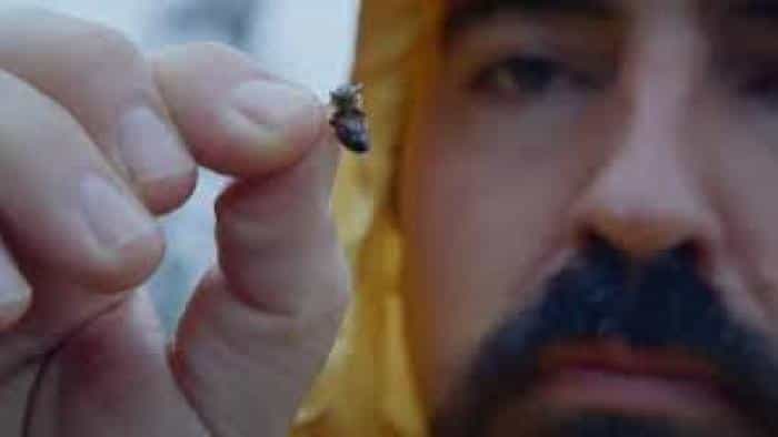 نقد و بررسی فیلم حمله زنبورهای قاتل محصول سال 2021 | چی‌بینو