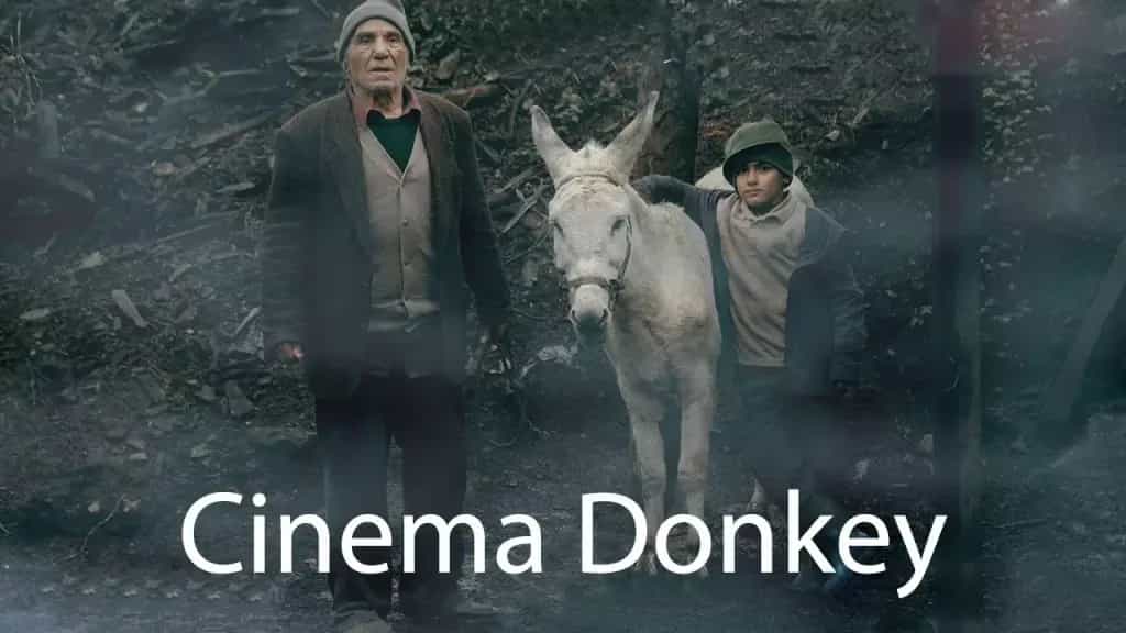 تماشای فیلم سینما خر محصول سال 2019 | چیبینو