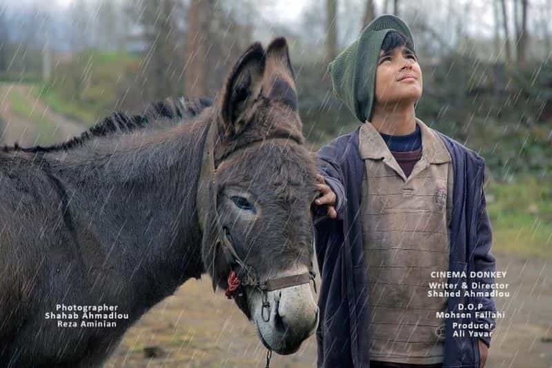 تماشای فیلم سینما خر محصول سال 2019 | چیبینو