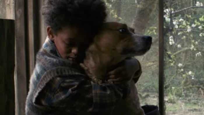 تماشای فیلم هرگز رها نکن محصول سال 2024 | چیبینو