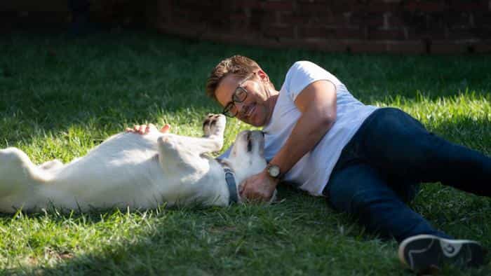 تماشای فیلم سگ گمشده محصول سال 2023 | چیبینو