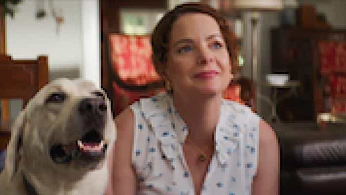 تماشای فیلم سگ گمشده محصول سال 2023 | چیبینو