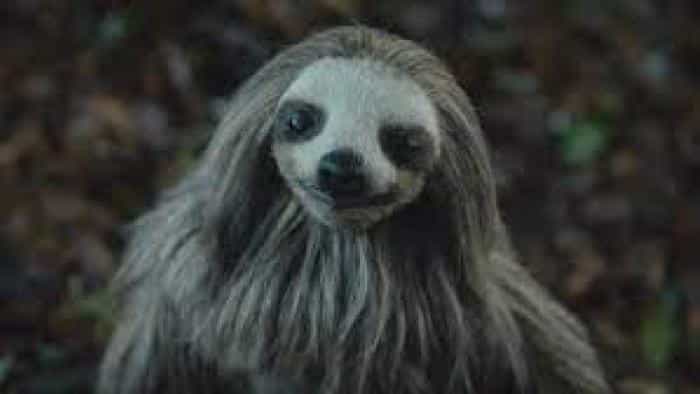 تماشای فیلم خانه تنبل قاتل محصول سال 2023 | چیبینو