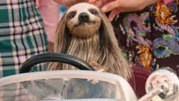 تماشای فیلم خانه تنبل قاتل محصول سال 2023 | چیبینو