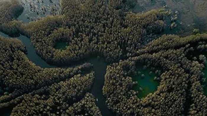 تماشای فیلم دریاچه کادو محصول سال 2024 | چی‌بینو