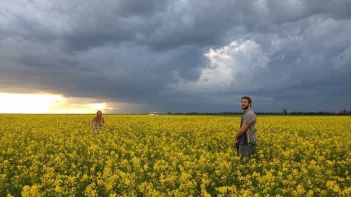 نقد و بررسی فیلم بریدگی بانک محصول سال 2014 | چی‌بینو