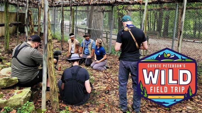 نقد و بررسی سریال سفرهای وحشی کایوت پترسون (2021) | چی‌بینو