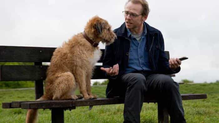 تماشای فیلم اسب حیوان نجیبی است محصول سال 2015 | چی‌بینو