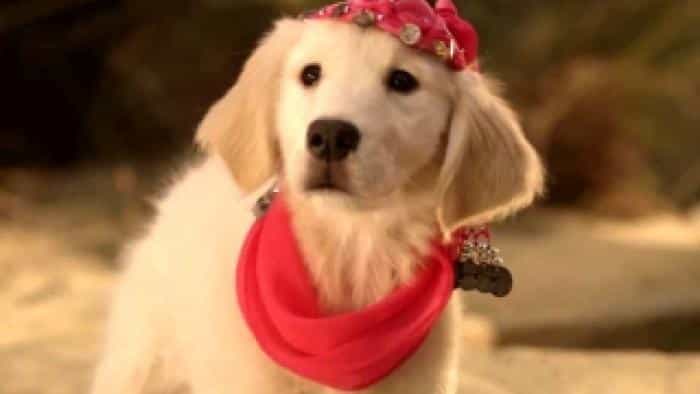 نقد و بررسی فیلم دوستان گنج محصول سال 2012 | چی‌بینو