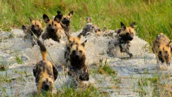 تماشای فیلم نجات از بهشت: یک داستان خانوادگی (2022)