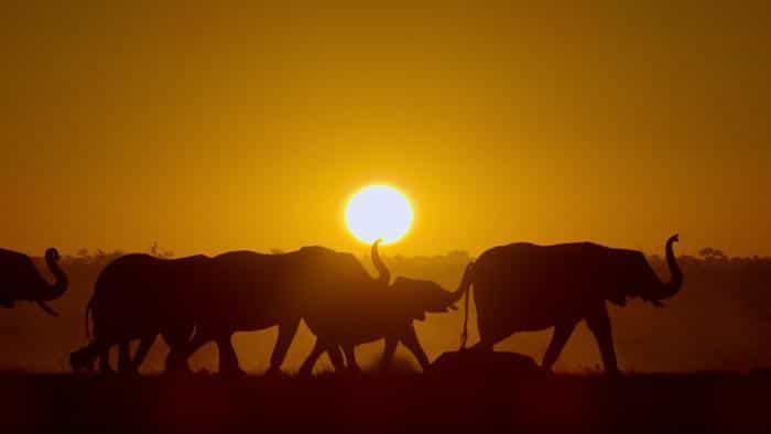 تماشای فیلم نجات از بهشت: یک داستان خانوادگی (2022)