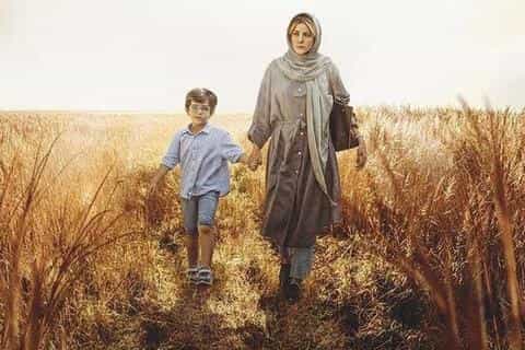 نقد و بررسی فیلم علف‌زار محصول سال 2022 | چی‌بینو